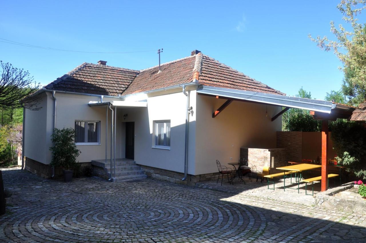 Guesthouse Djuric Νεγκοτίν Εξωτερικό φωτογραφία