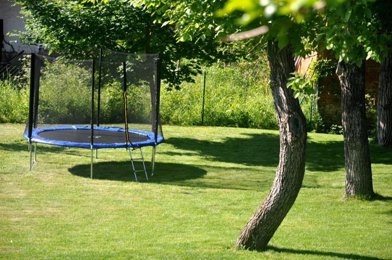 Guesthouse Djuric Νεγκοτίν Εξωτερικό φωτογραφία