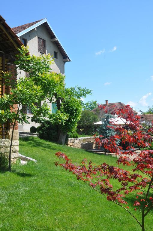 Guesthouse Djuric Νεγκοτίν Εξωτερικό φωτογραφία