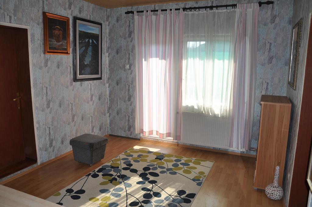 Guesthouse Djuric Νεγκοτίν Εξωτερικό φωτογραφία