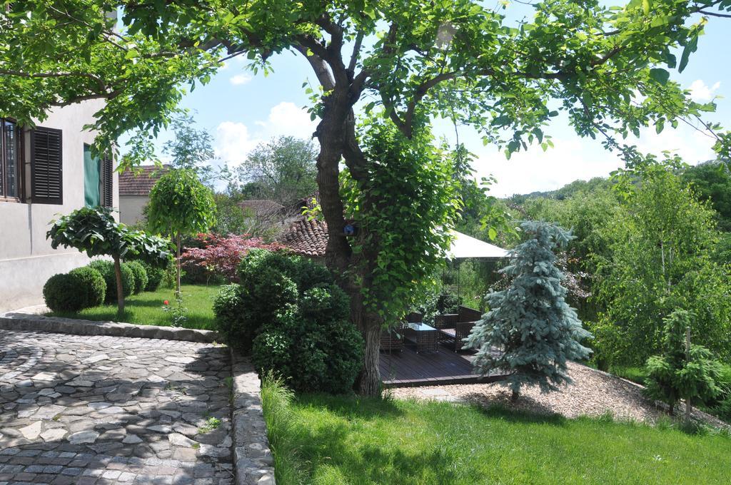 Guesthouse Djuric Νεγκοτίν Εξωτερικό φωτογραφία