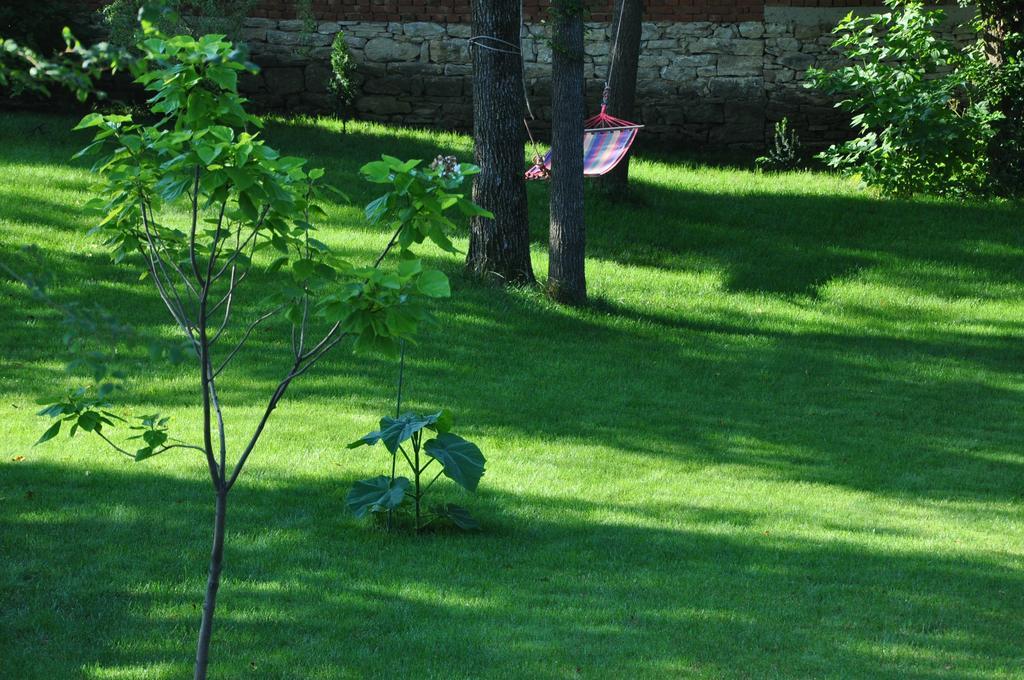 Guesthouse Djuric Νεγκοτίν Εξωτερικό φωτογραφία