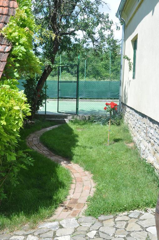 Guesthouse Djuric Νεγκοτίν Εξωτερικό φωτογραφία