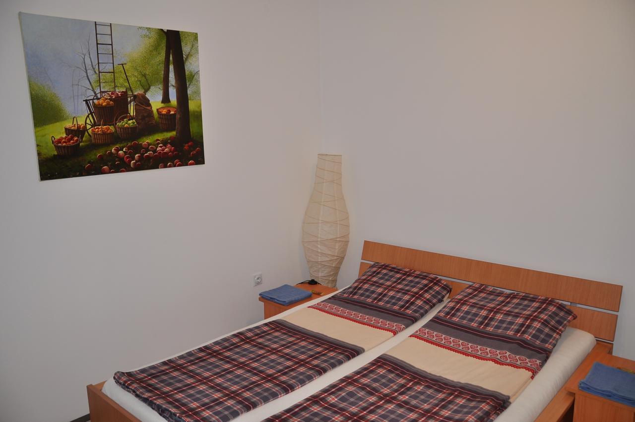 Guesthouse Djuric Νεγκοτίν Εξωτερικό φωτογραφία