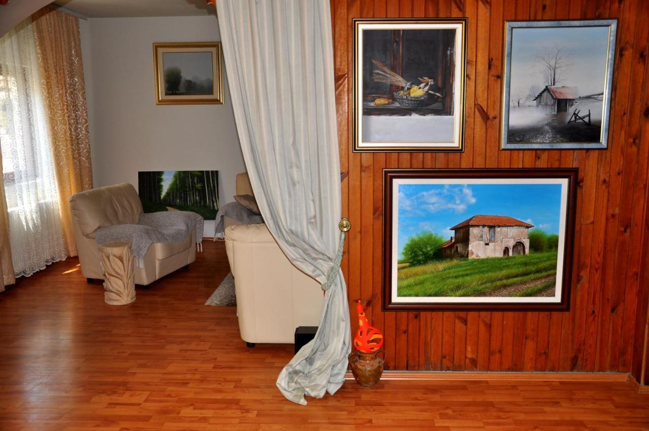 Guesthouse Djuric Νεγκοτίν Εξωτερικό φωτογραφία