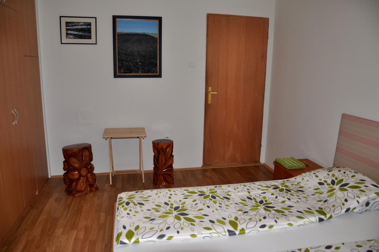 Guesthouse Djuric Νεγκοτίν Εξωτερικό φωτογραφία